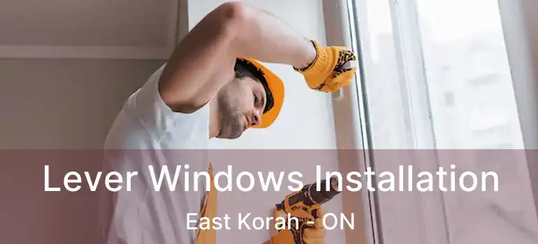  Lever Windows Installation East Korah - ON