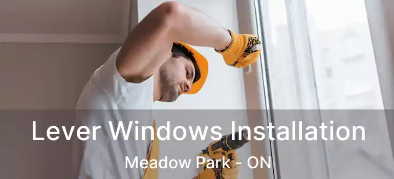 Lever Windows Installation Meadow Park - ON
