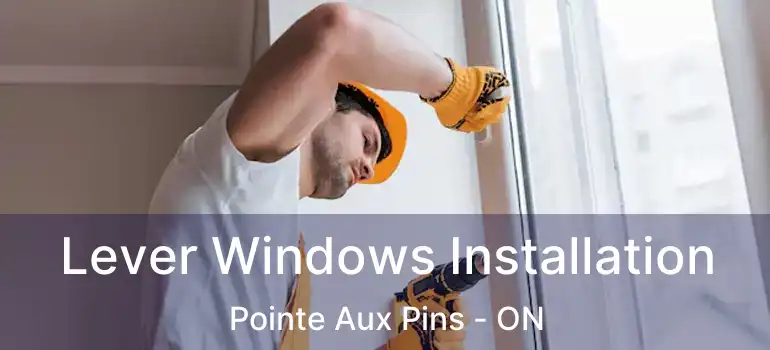  Lever Windows Installation Pointe Aux Pins - ON