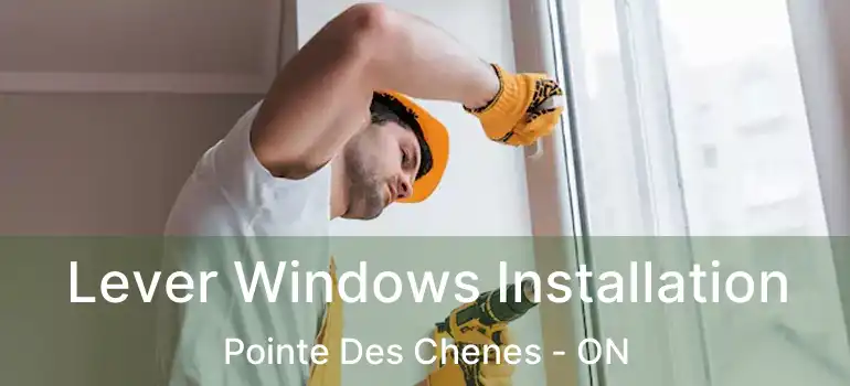  Lever Windows Installation Pointe Des Chenes - ON