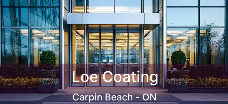  Loe Coating Carpin Beach - ON