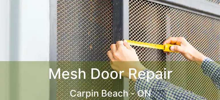  Mesh Door Repair Carpin Beach - ON