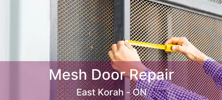  Mesh Door Repair East Korah - ON