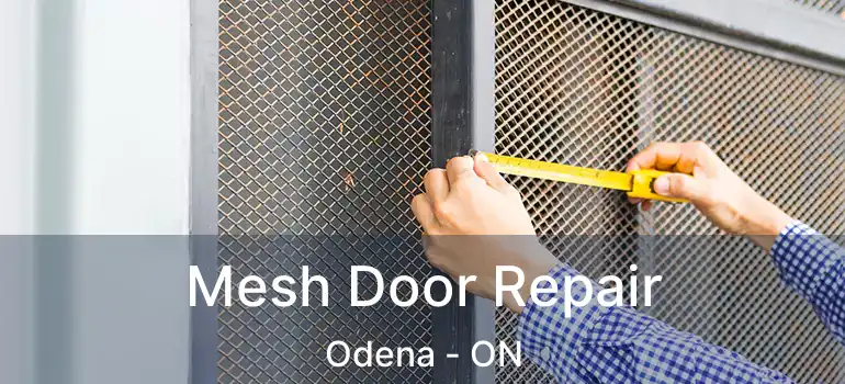 Mesh Door Repair Odena - ON