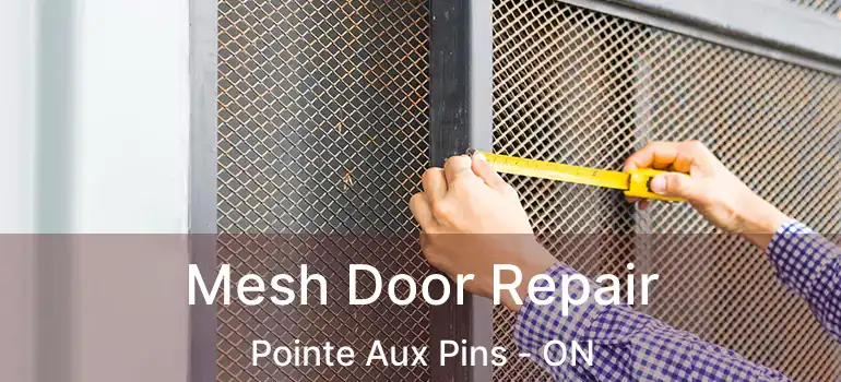  Mesh Door Repair Pointe Aux Pins - ON