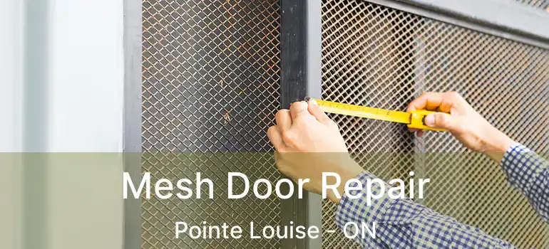  Mesh Door Repair Pointe Louise - ON