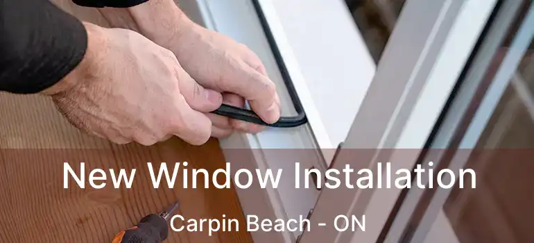  New Window Installation Carpin Beach - ON