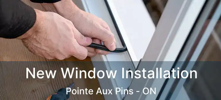  New Window Installation Pointe Aux Pins - ON