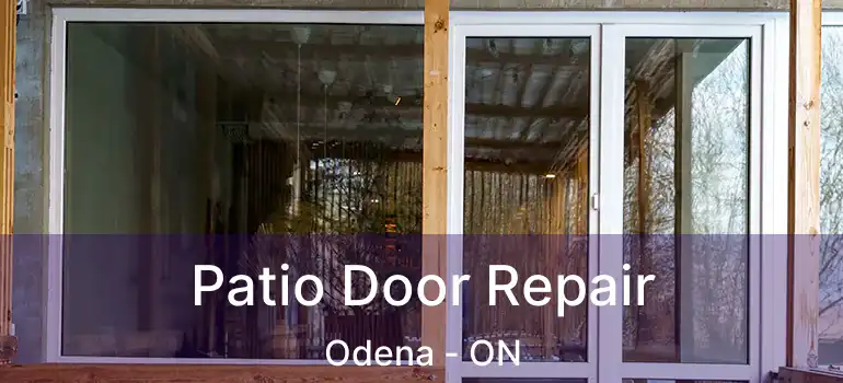  Patio Door Repair Odena - ON