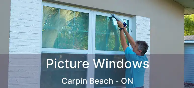  Picture Windows Carpin Beach - ON