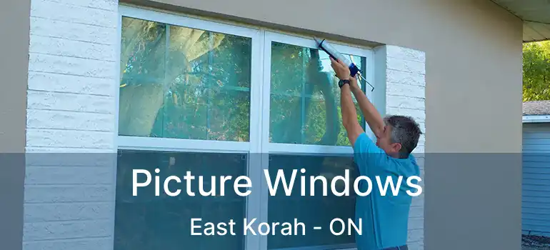  Picture Windows East Korah - ON