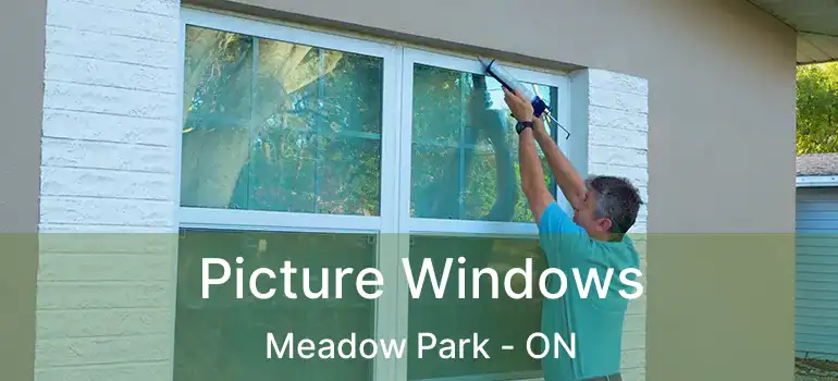  Picture Windows Meadow Park - ON