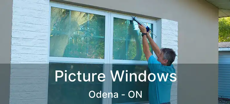  Picture Windows Odena - ON
