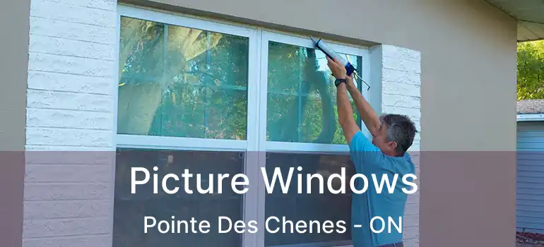  Picture Windows Pointe Des Chenes - ON