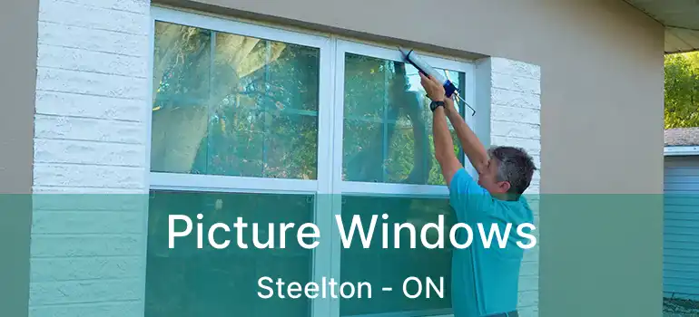  Picture Windows Steelton - ON