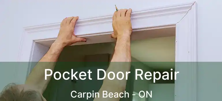  Pocket Door Repair Carpin Beach - ON