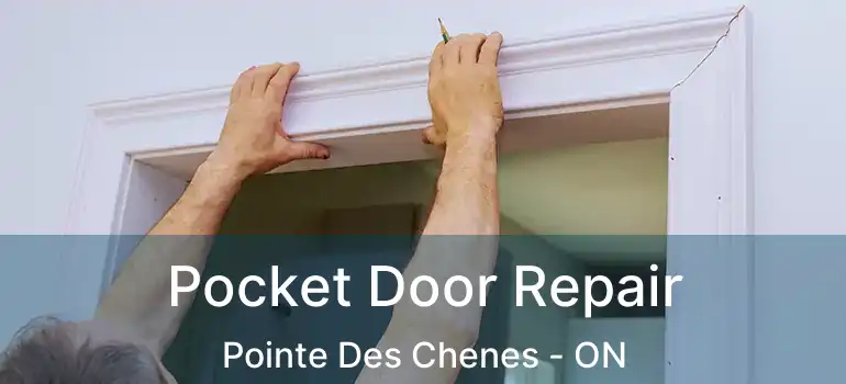  Pocket Door Repair Pointe Des Chenes - ON