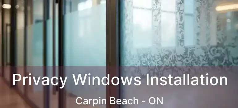  Privacy Windows Installation Carpin Beach - ON