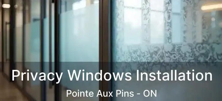 Privacy Windows Installation Pointe Aux Pins - ON