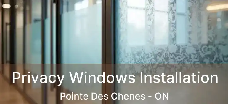  Privacy Windows Installation Pointe Des Chenes - ON