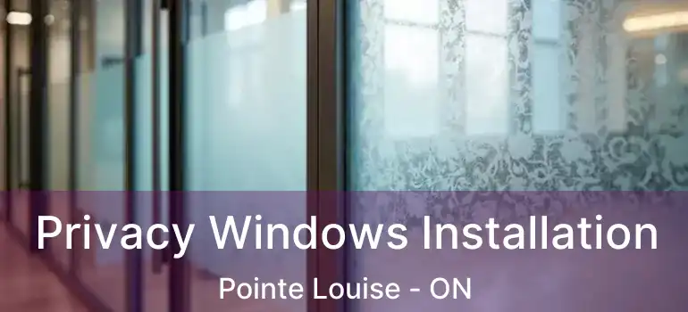  Privacy Windows Installation Pointe Louise - ON