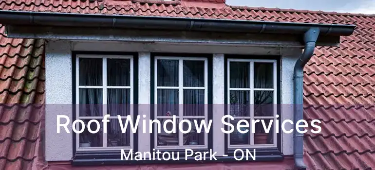  Roof Window Services Manitou Park - ON