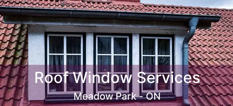  Roof Window Services Meadow Park - ON