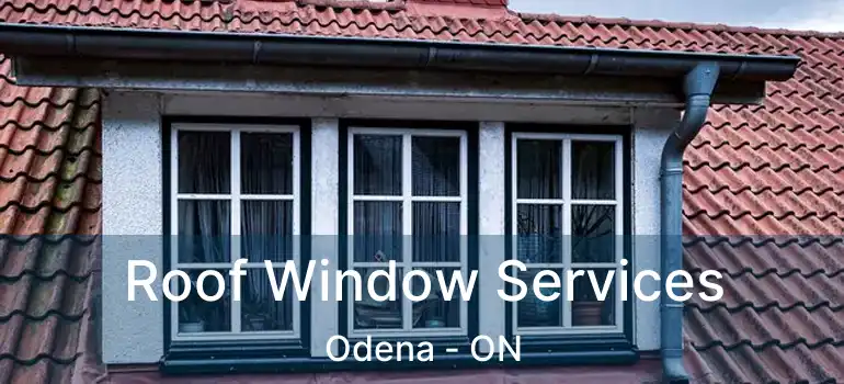  Roof Window Services Odena - ON