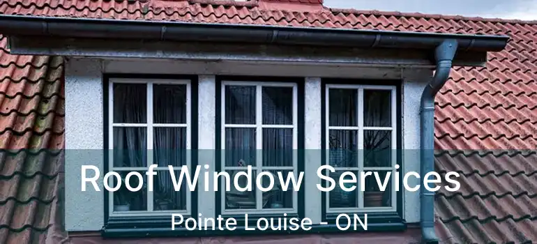  Roof Window Services Pointe Louise - ON