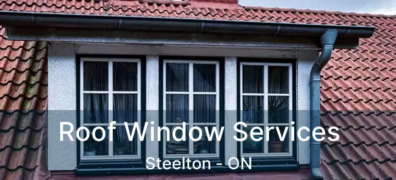  Roof Window Services Steelton - ON