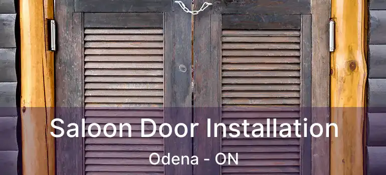  Saloon Door Installation Odena - ON