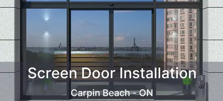  Screen Door Installation Carpin Beach - ON