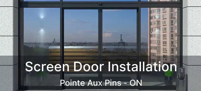  Screen Door Installation Pointe Aux Pins - ON