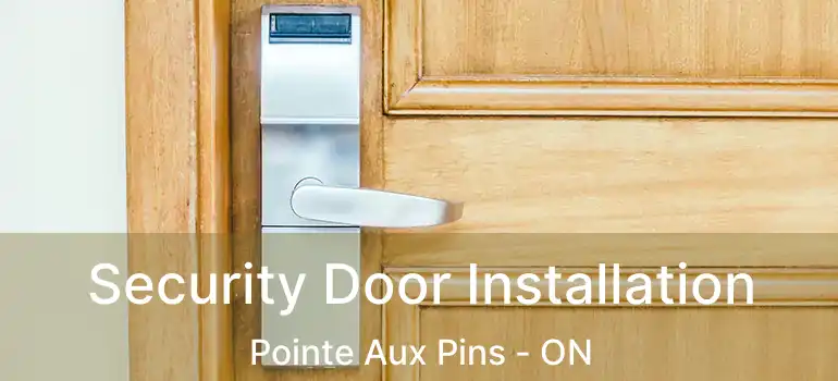  Security Door Installation Pointe Aux Pins - ON
