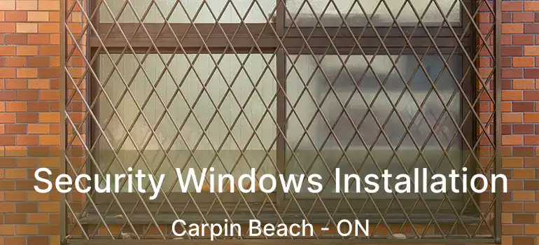  Security Windows Installation Carpin Beach - ON