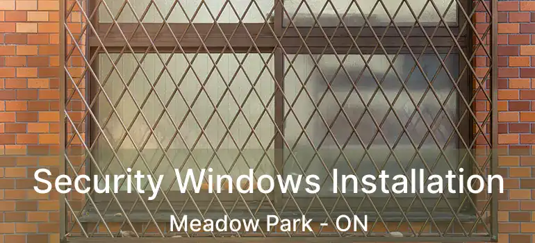  Security Windows Installation Meadow Park - ON