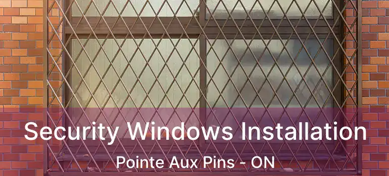  Security Windows Installation Pointe Aux Pins - ON