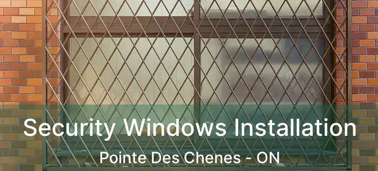  Security Windows Installation Pointe Des Chenes - ON