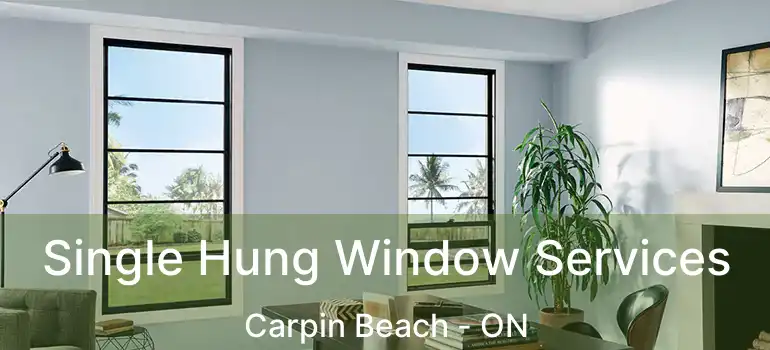  Single Hung Window Services Carpin Beach - ON