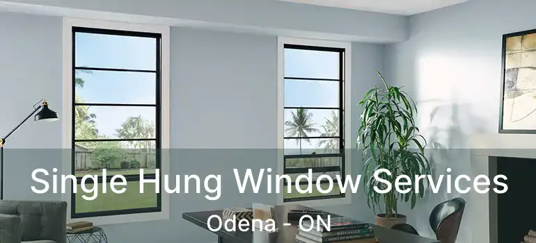  Single Hung Window Services Odena - ON