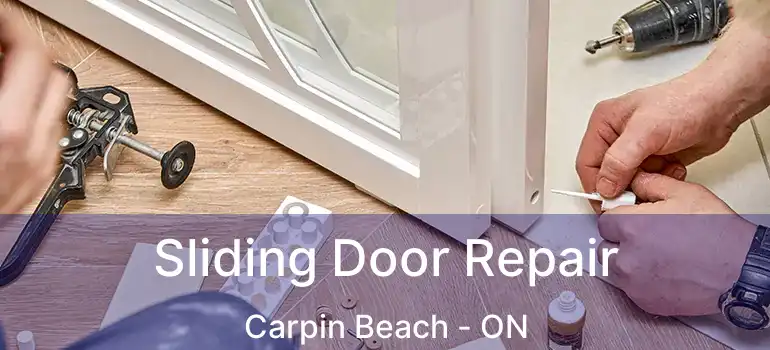  Sliding Door Repair Carpin Beach - ON