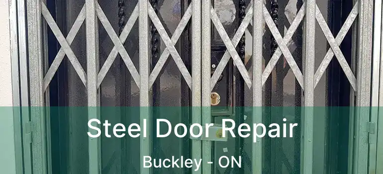  Steel Door Repair Buckley - ON