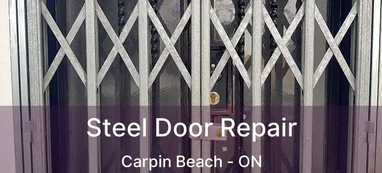  Steel Door Repair Carpin Beach - ON