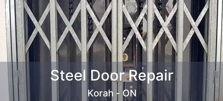  Steel Door Repair Korah - ON
