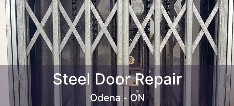  Steel Door Repair Odena - ON