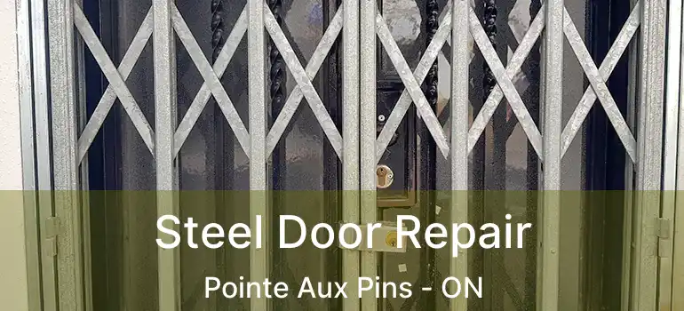  Steel Door Repair Pointe Aux Pins - ON
