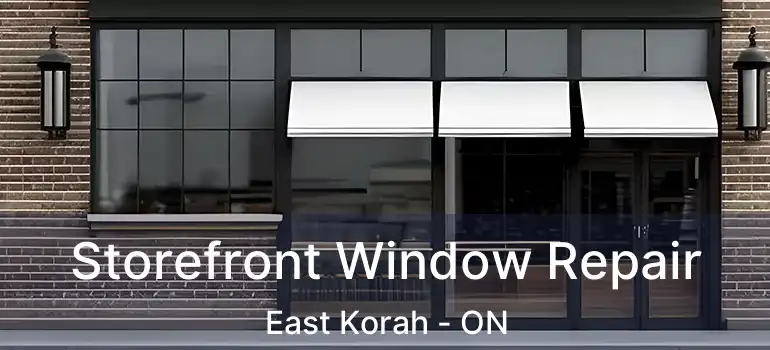  Storefront Window Repair East Korah - ON