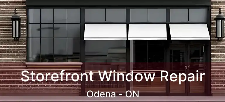  Storefront Window Repair Odena - ON