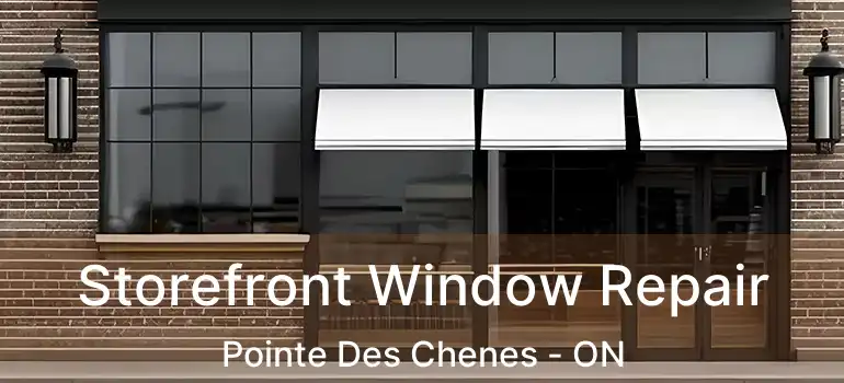  Storefront Window Repair Pointe Des Chenes - ON