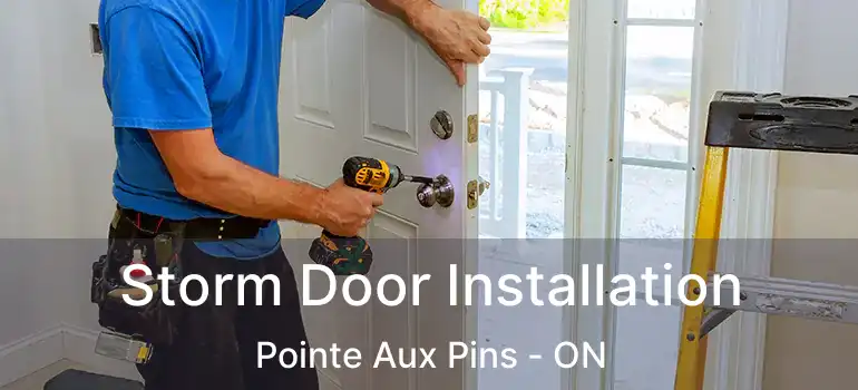  Storm Door Installation Pointe Aux Pins - ON